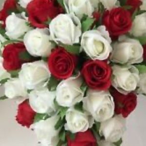 Meet your Posher, Lima